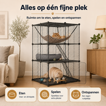 Kattenren voor Buiten & Binnen