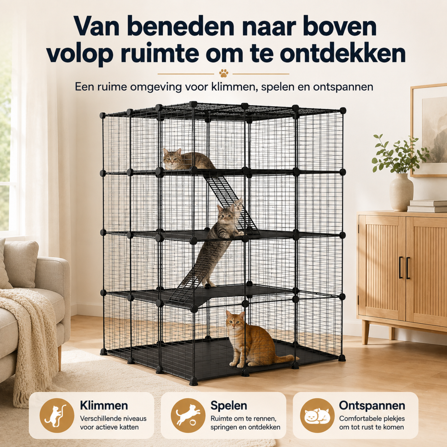 XL Kattenren voor Buiten & Binnen